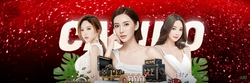 Certificações de segurança e licenças da dd8